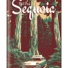 Illustration of vintage car and tall trees at Sequoia National Park