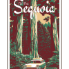 Illustration of vintage car and tall trees at Sequoia National Park